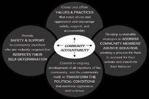 Ein Diagramm mit der Überschrift 'Gemeinschaftliche Rechenschaftspflicht' und einem zentralen Kreis, der durch Pfeile mit drei sich überschneidenden Kreisen verbunden ist, alles in fetter, leuchtender Schrift.