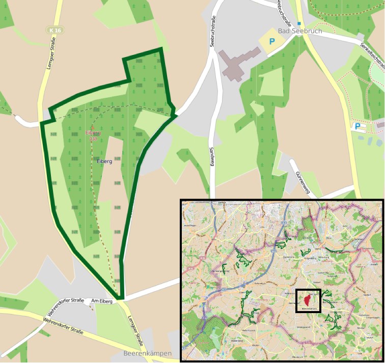 Stadtplan, der einen zentralen grünen Bereich hervorhebt, der für die geplante Entwicklung markiert ist, mit umliegenden Straßen, Gebäuden und Sehenswürdigkeiten.