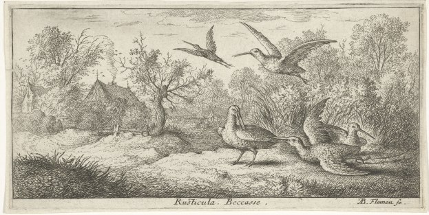 Ein bewaldetes Gebiet mit Vögeln, die zwischen Bäumen, Pflanzen, Gras und Häusern fliegen, mit Text unten.