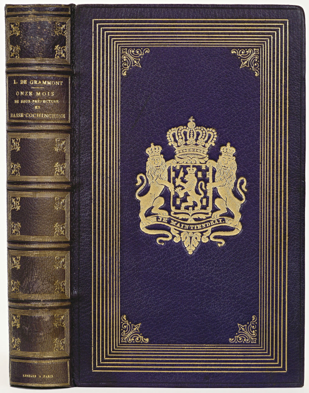 Blaues Gesetzbuch mit einer goldenen Krone auf dem Cover vor einem weißen Hintergrund.