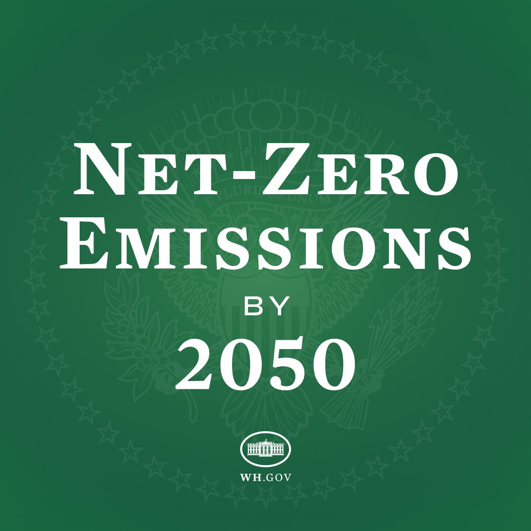 Weißer fetter Text auf einem grünen Hintergrund, der "netto-null-Emissionen bis 2050" liest.