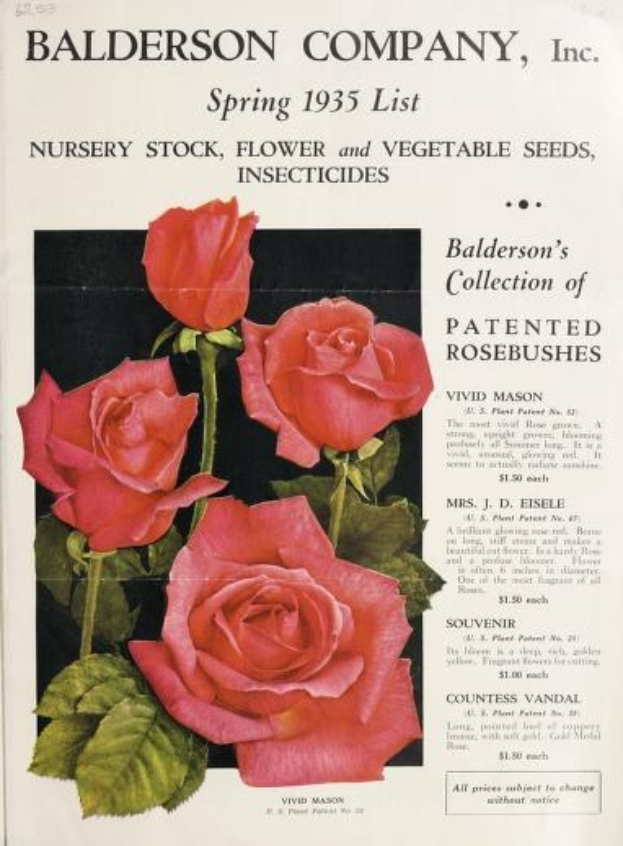 Baldwin Company, Inc. Frühjahr 1935 Katalog mit pinken Rosen und Blattwerk auf dem Cover.