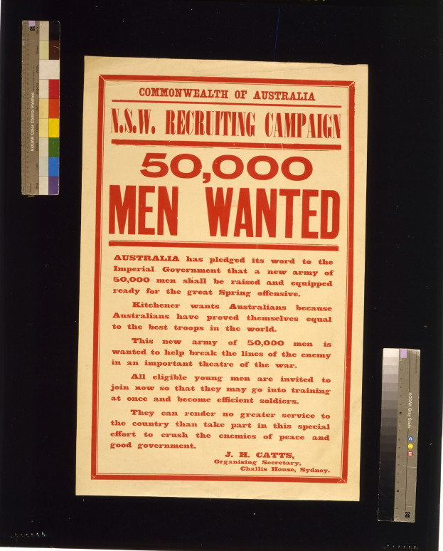 Ein Plakat mit schwarzer, fetter Schrift, auf dem "N.S.W. Recruiting Campaign 50,000 Men Wanted" steht, vor einem weißen Hintergrund, eingerahmt in schwarz.