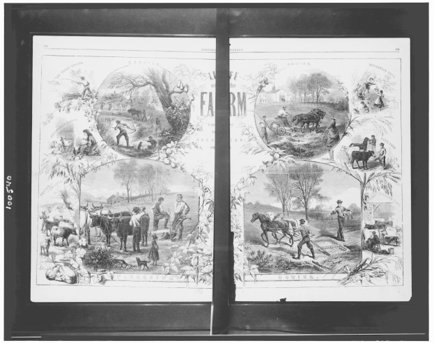 Schwarz-weißes Farm-Szenario mit Menschen, die in einem Feld stehen, Tiere im Hintergrund grasen, hohe, grüne Bäume und fetter Text.