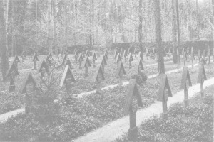 Ein Schwarz-Weiß-Foto eines Friedhofs im Wald mit vielen Grabsteinen und Bäumen im Hintergrund, beschriftet mit "Auschwitz-Birkenau Friedhof in Polen".